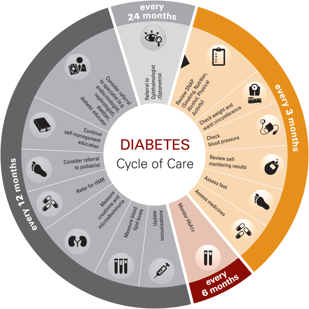 Diabetes Cycle of Care